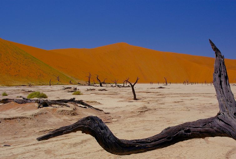 409 Namibia Okt 2006 .JPG